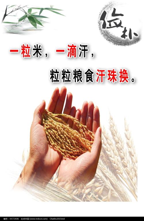 意大利护照扫描件作假